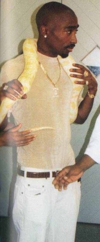 2Pac photo from Hit Em Up-16